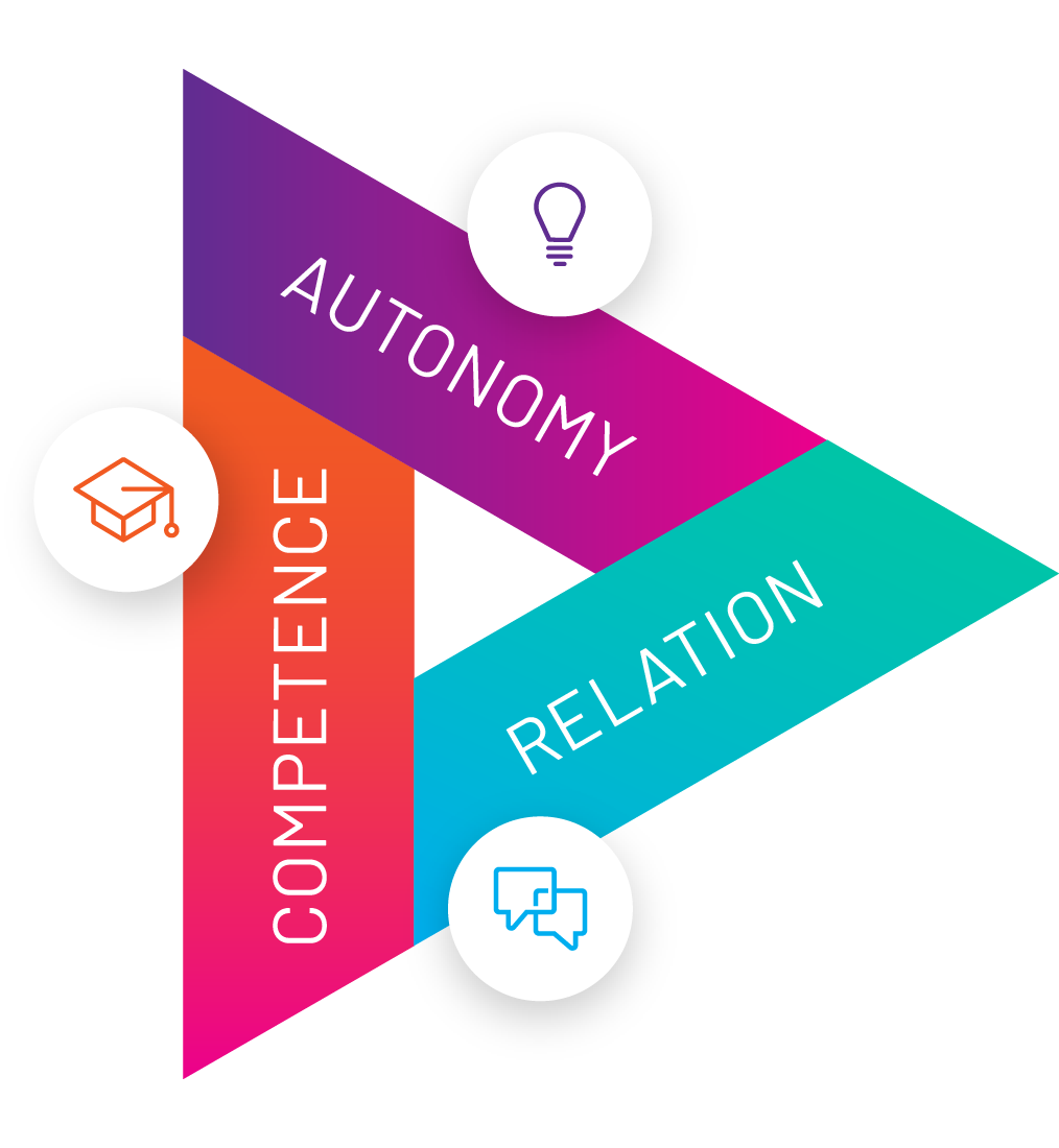 Motivational drivers: relation, autonomy and competence